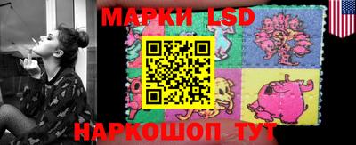 гидропоника Ставрополь