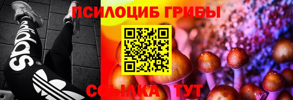 Галлюциногенные грибы Psilocybine cubensis Печора